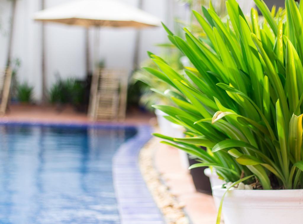 Overflow Guesthouse Siem Reap Extérieur photo